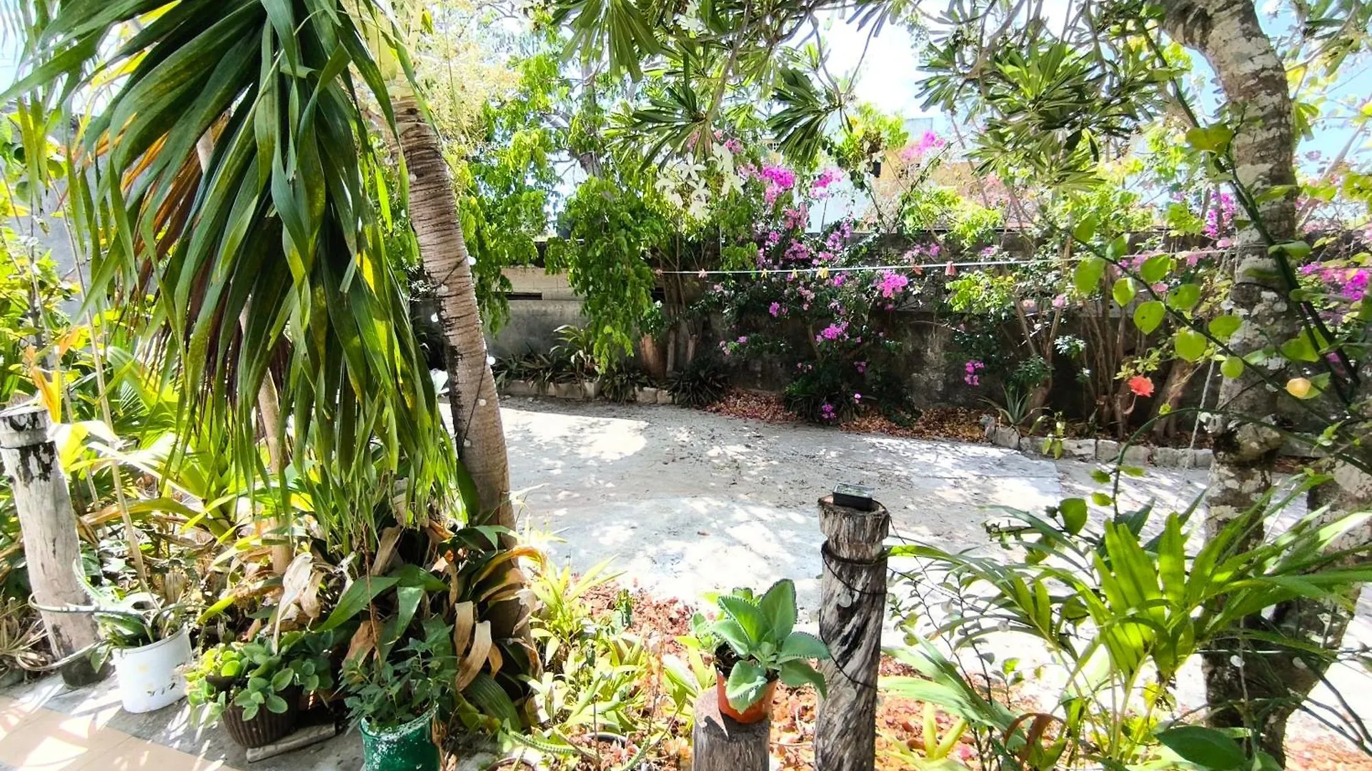 Apartment Comfy Studio Yaxkin On Downtown, 3 Block Away From Sea And Sunsets Cozumel